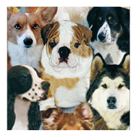 Collage of different dog breeds