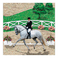 Dressage equestrian rider