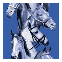 Blue ribbon with horses on background