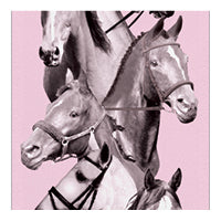 Pink ribbon with horses on background