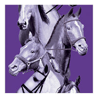 Purple ribbon with horses on background