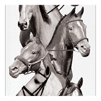 White ribbon with horses on background