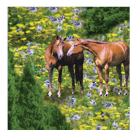 Horses in field with summer background