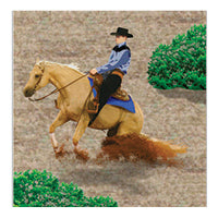 Western horseback rider
