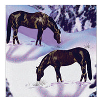 Horses in field with winter background