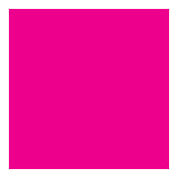 Neon pink dog tag print color