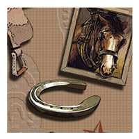 Old West swatch, horseshoe, saddle, star