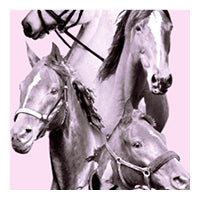 Pink equestrian swatch, collage of horses