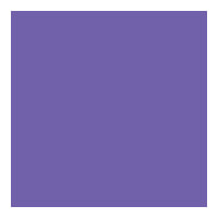 Purple dog tag print color
