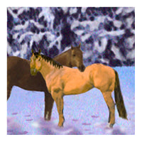 Winter swatch, horses in snow field