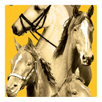 Yellow Equestrian swatch, collage of horses