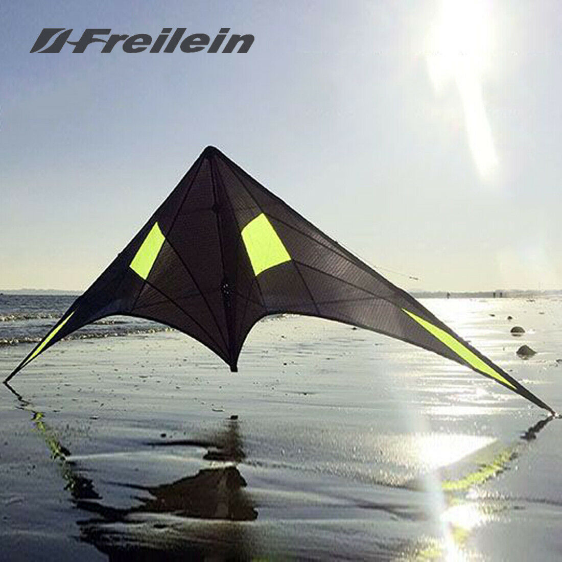 dual line stunt kite