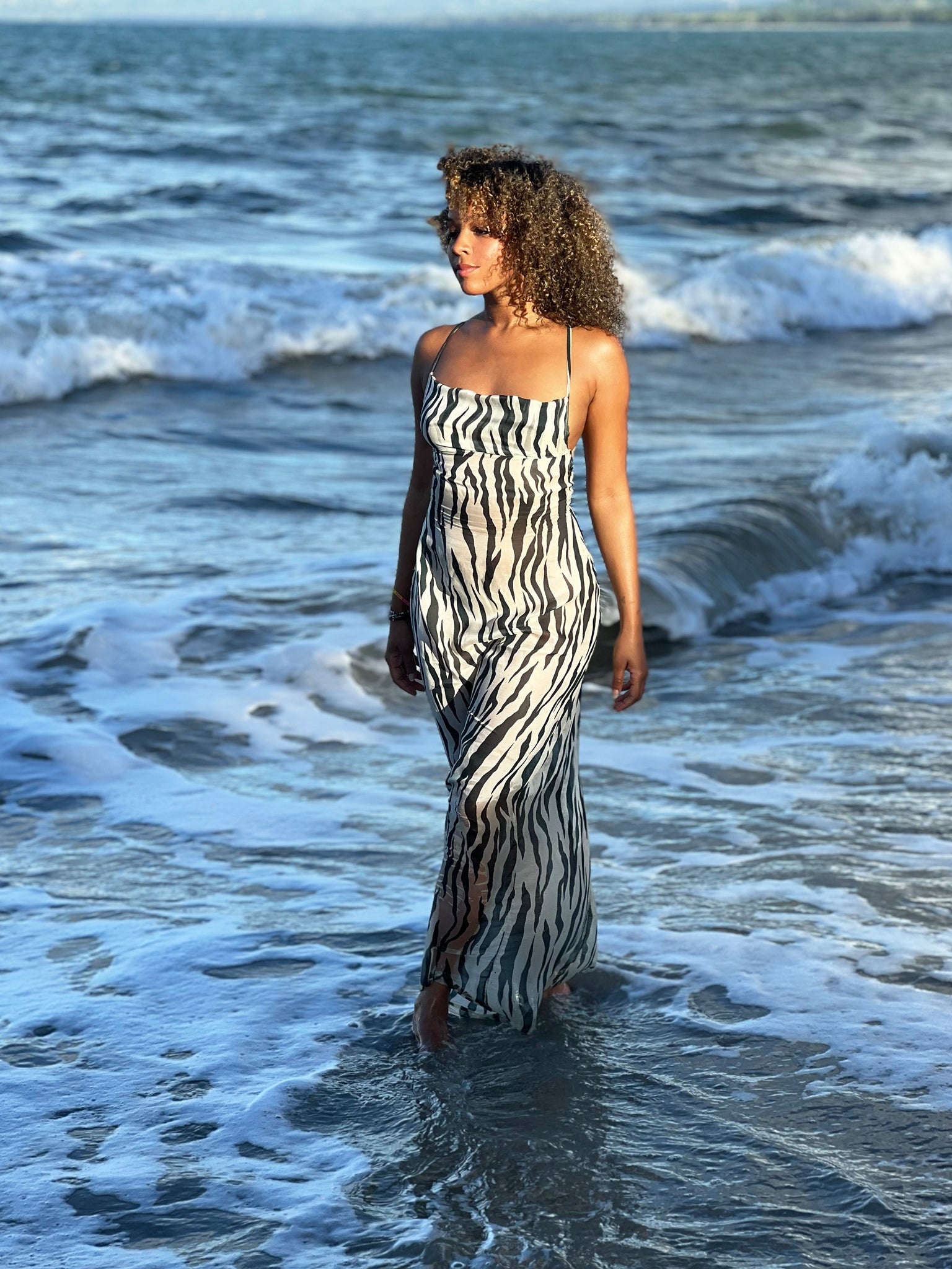 Angely De Aza Cookie Koekkje Fashion Designer based in New York City Black owned business woman owned zebra dress summer collection african inspired