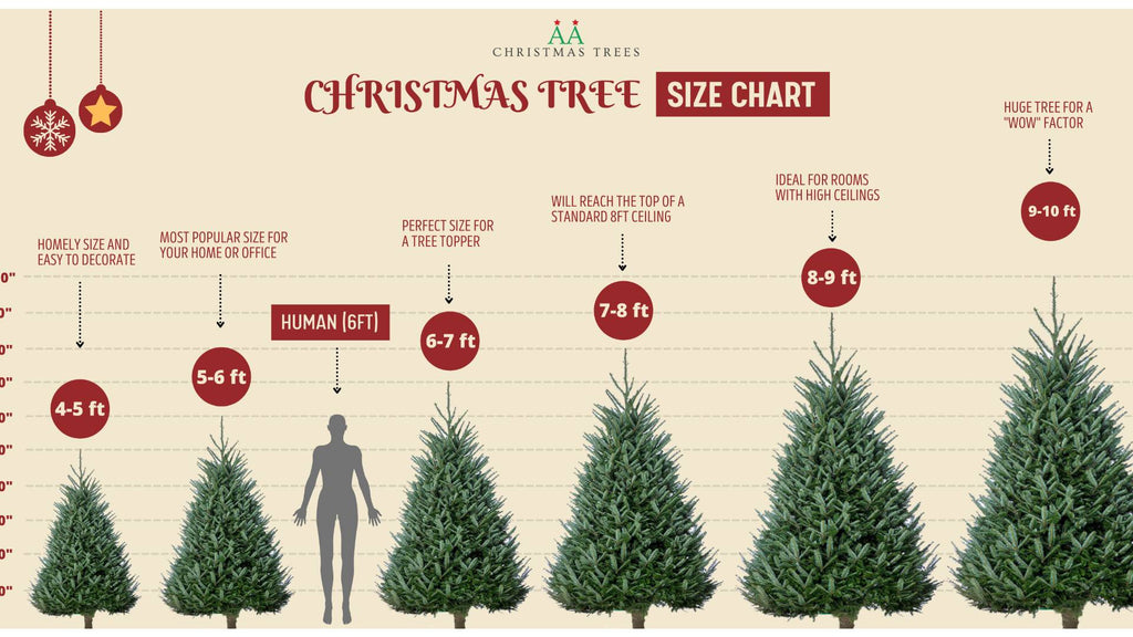 Christmas Tree size chart