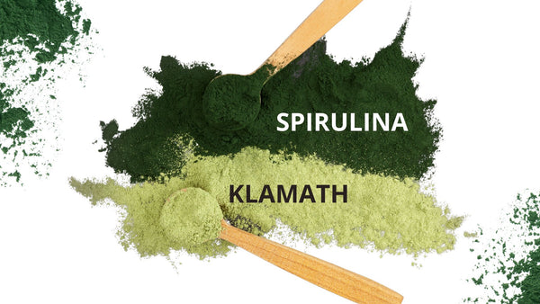 Alga Klamath o alga spirulina