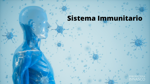 Sistema Immunitario