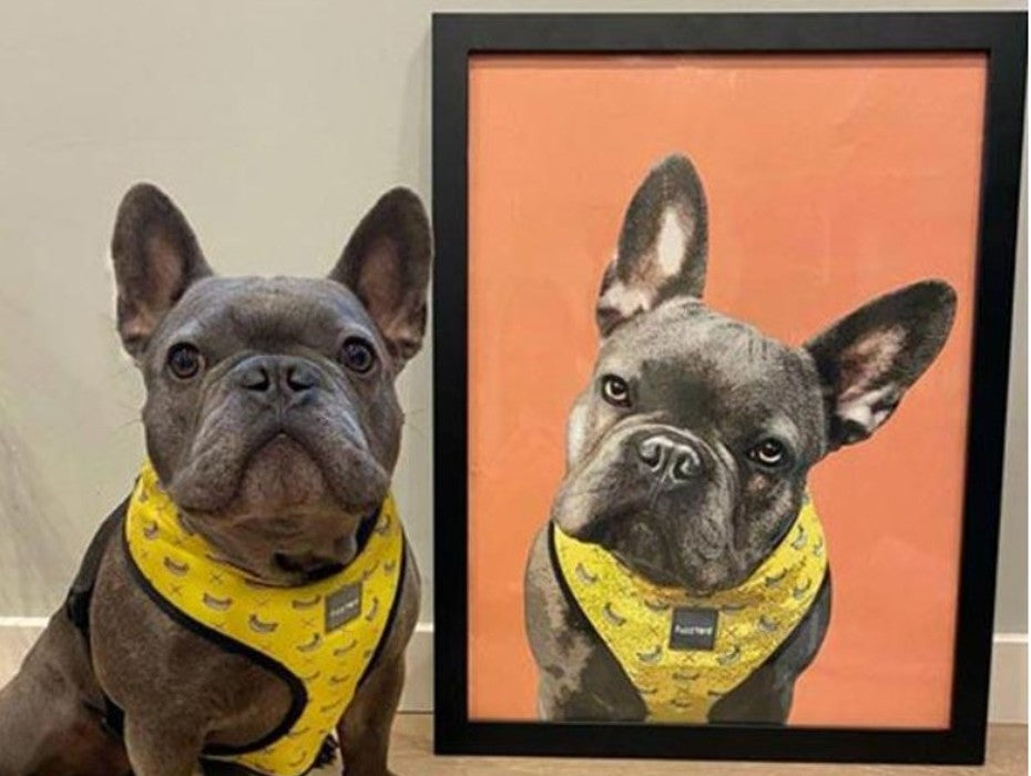 dog pop art painting