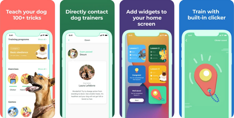 dogo training app