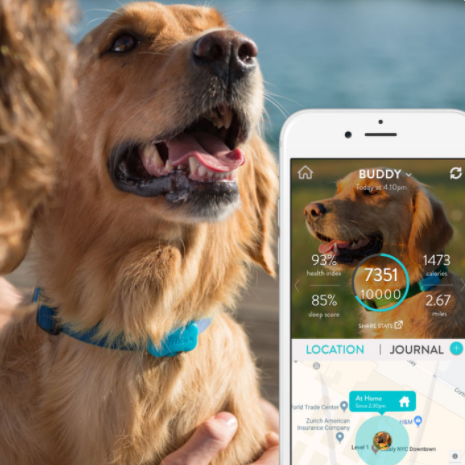 fitbark dog apps