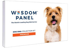 Wisdom Panel Dog DNA Test Kit