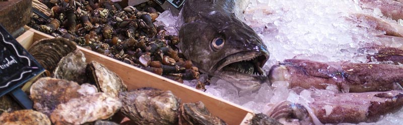 Accessoires d'ouverture d'huîtres de qualité- Achat en ligne – Les  Poissonneries Odessa