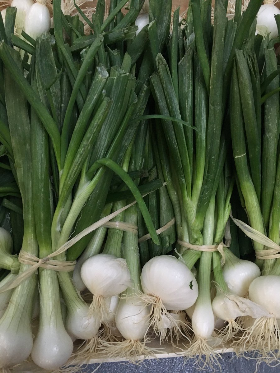 Long Shallots – Farmford & Co