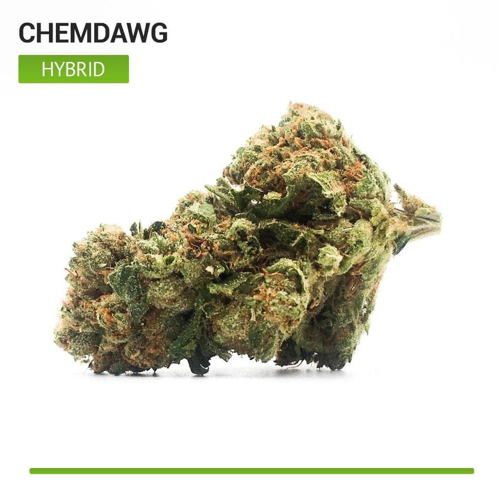 Chemdawg aka Chemdog Weed Strain Information - Leafly