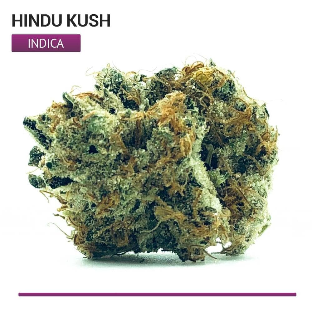 Hindu Kush Indica Strain Cannabis Straight To Your Door