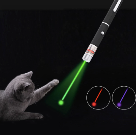 cats laser pointer stairs clipart