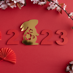 Lunar New Year - Year of the Rabbit