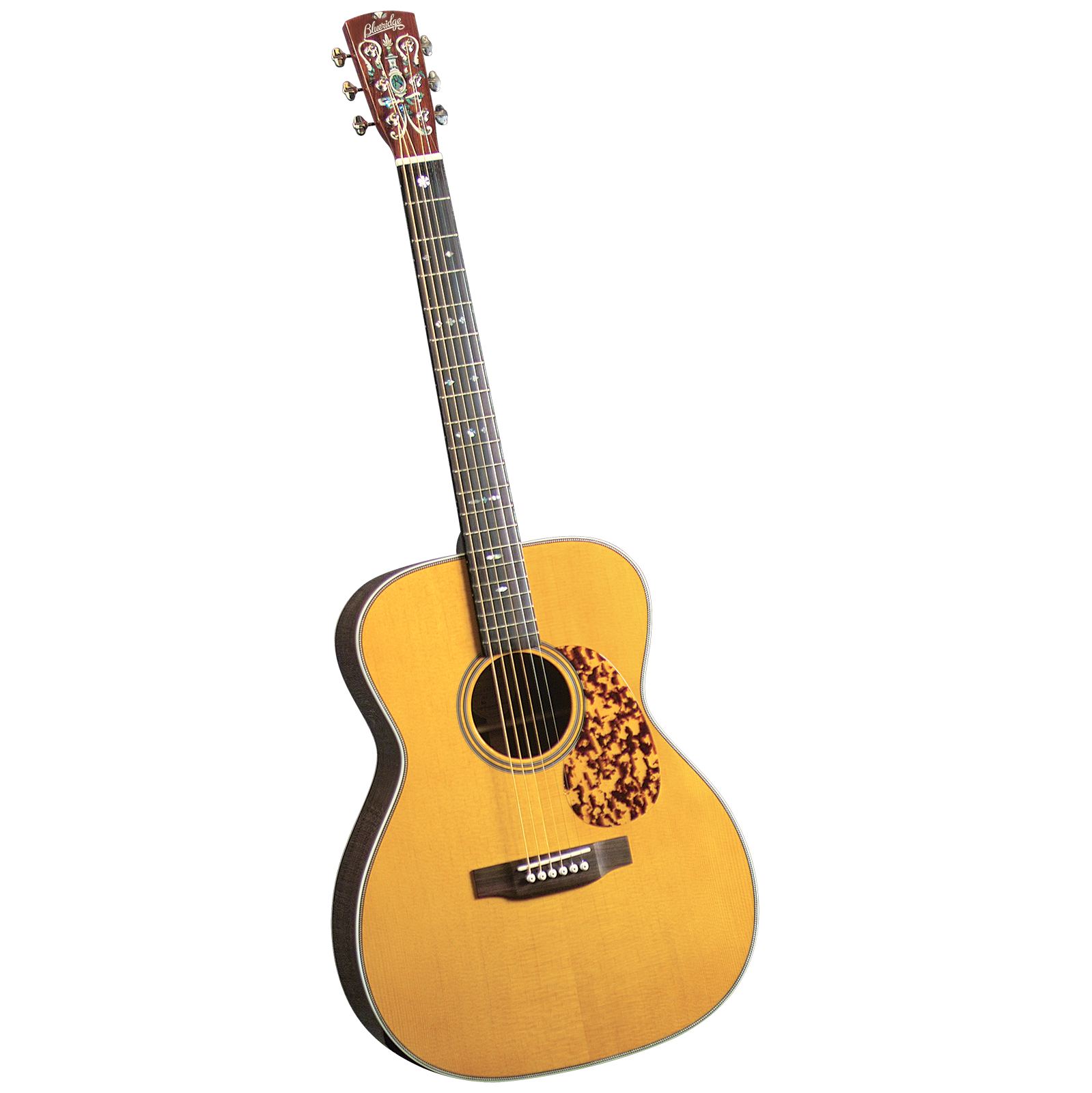 acoustic guitar blueridge