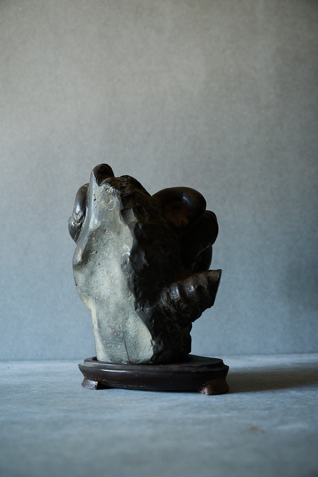 Black Ammonite with Host Rock