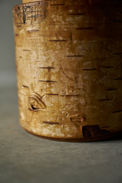 White Birch Canister