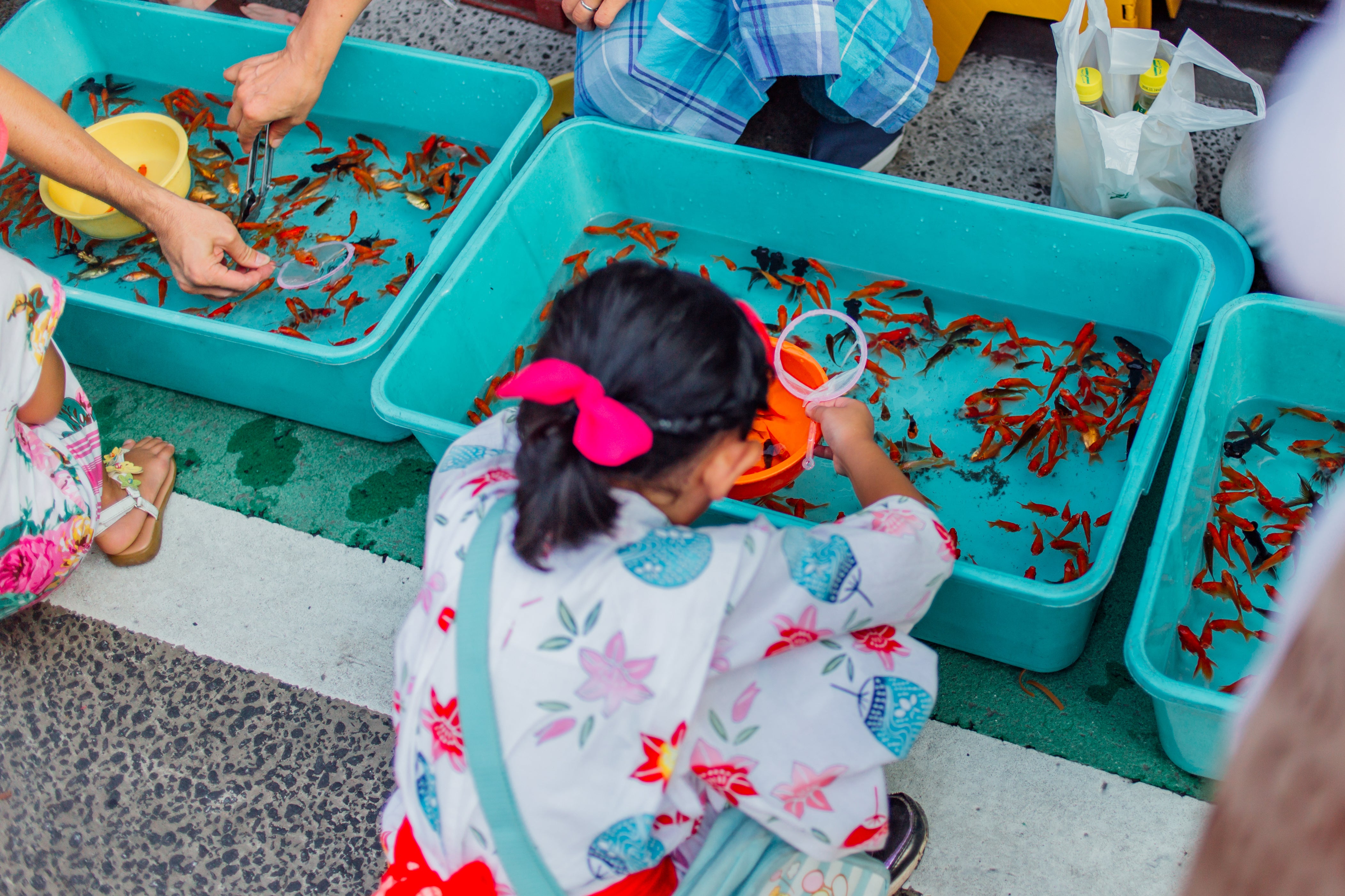 Summer Festival in Japan: What to Eat and What to See – Tokyo Central