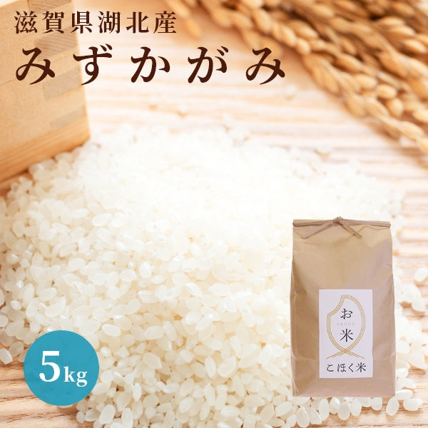 ふるさと納税 滋賀県 多賀町 BG無洗米 みずかがみ 計60kg（10kg × 6回） [G-00402] 通販 
