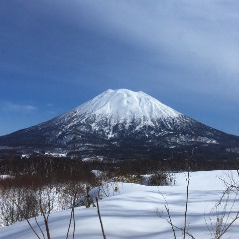 nicao home Niseko mount yotei winter