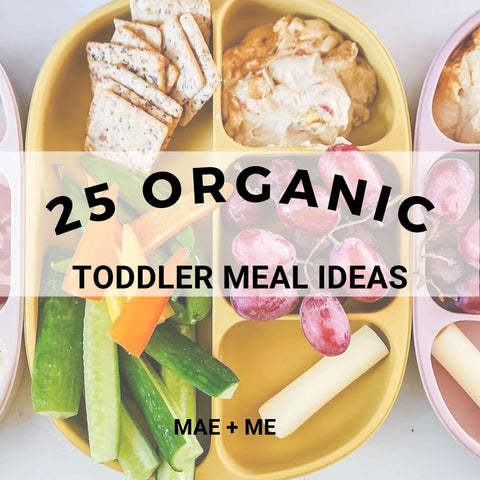 25 Organic Toddler Baby Meal Ideas