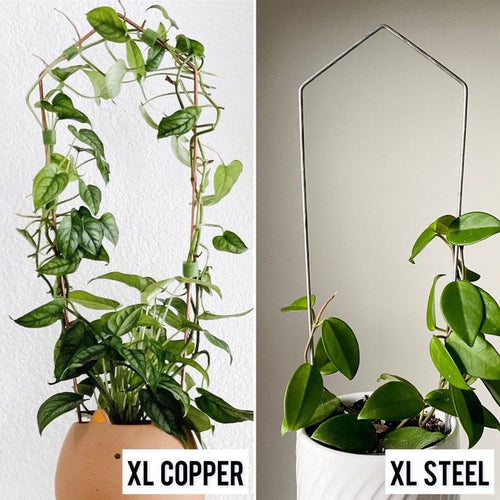 Copper or Steel Wire Trellises for Houseplants – On Ya Garden