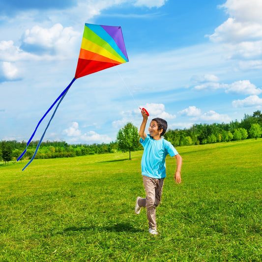 Best Deal for YXXJJ Kite Large Rainbow Kite with windsock Animal