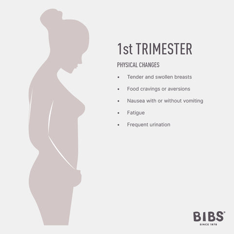 Good Food For Your First Trimester – TCM Health Care