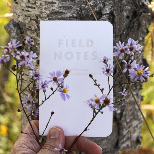 Field Notes Birch Bark Australia