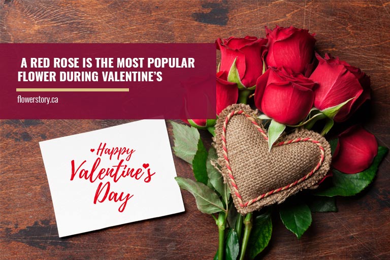 A red rose is the most popular flower during Valentine’s
