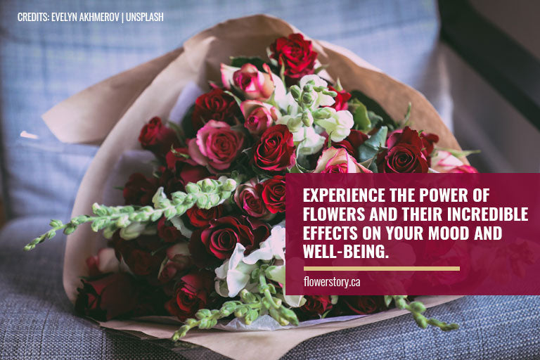 Experience the power of flowers and their incredible effects on your mood and well-being.