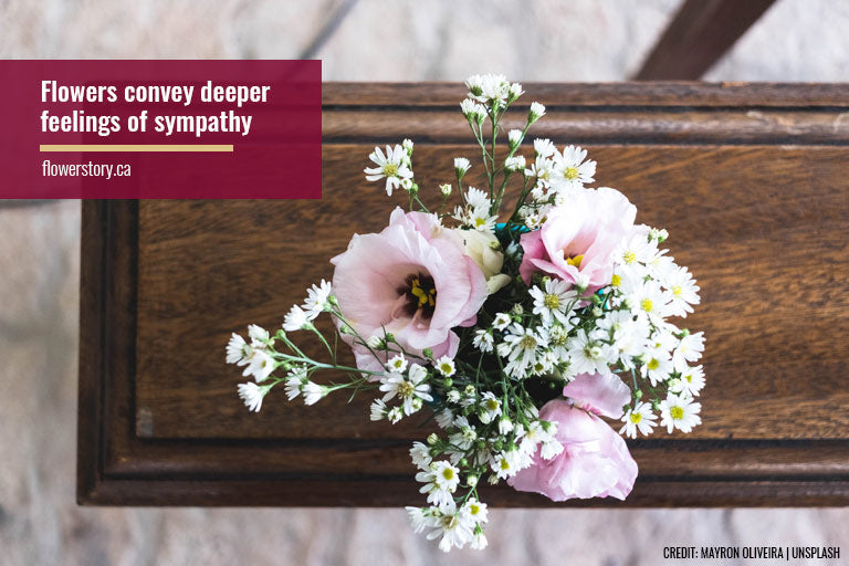 Flowers convey deeper feelings of sympathy