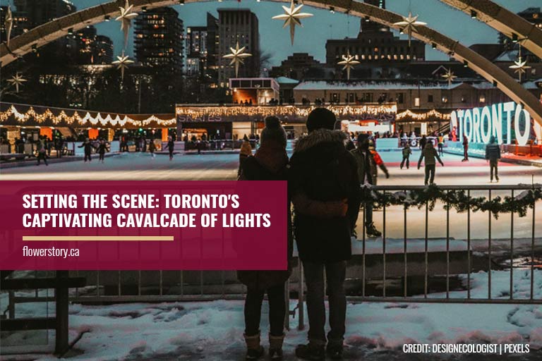 Setting the Scene: Toronto's Captivating Cavalcade of Lights