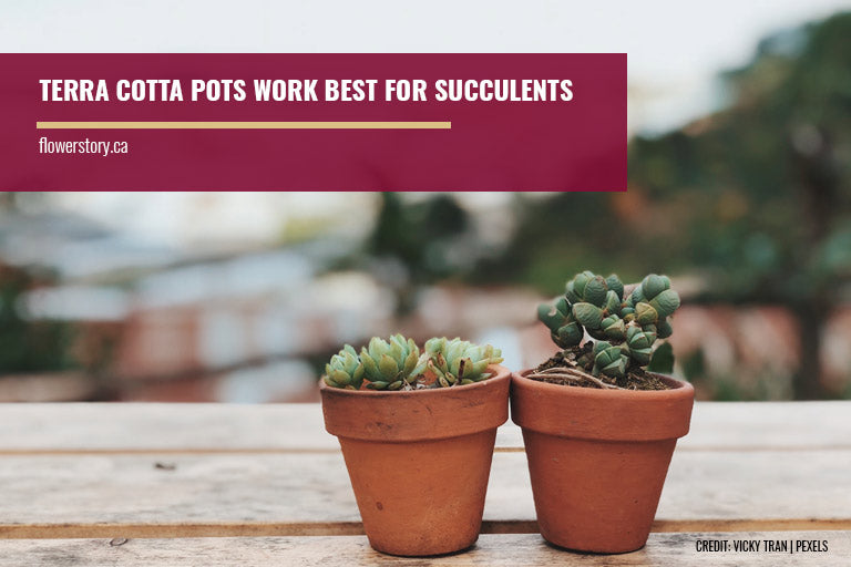 Terra cotta pots work best for succulents
