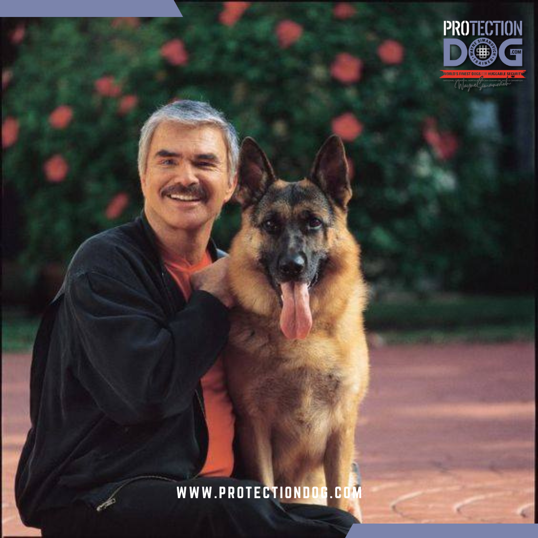 Burt Reynolds.png__PID:a3cdd86b-aec3-412b-9c02-4f50bd9eb38d