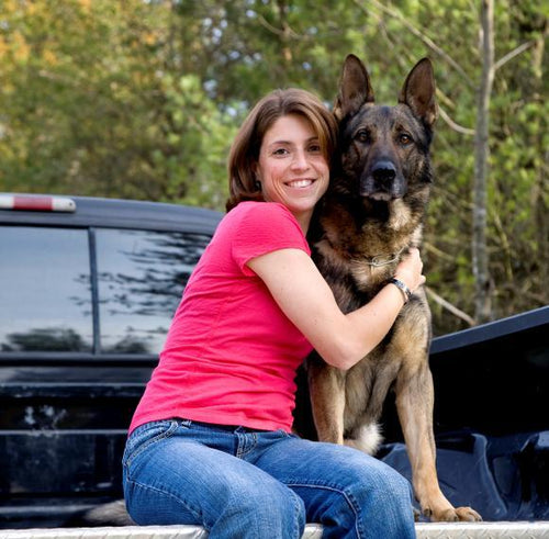 Trained Protection Dogs in North Carolina