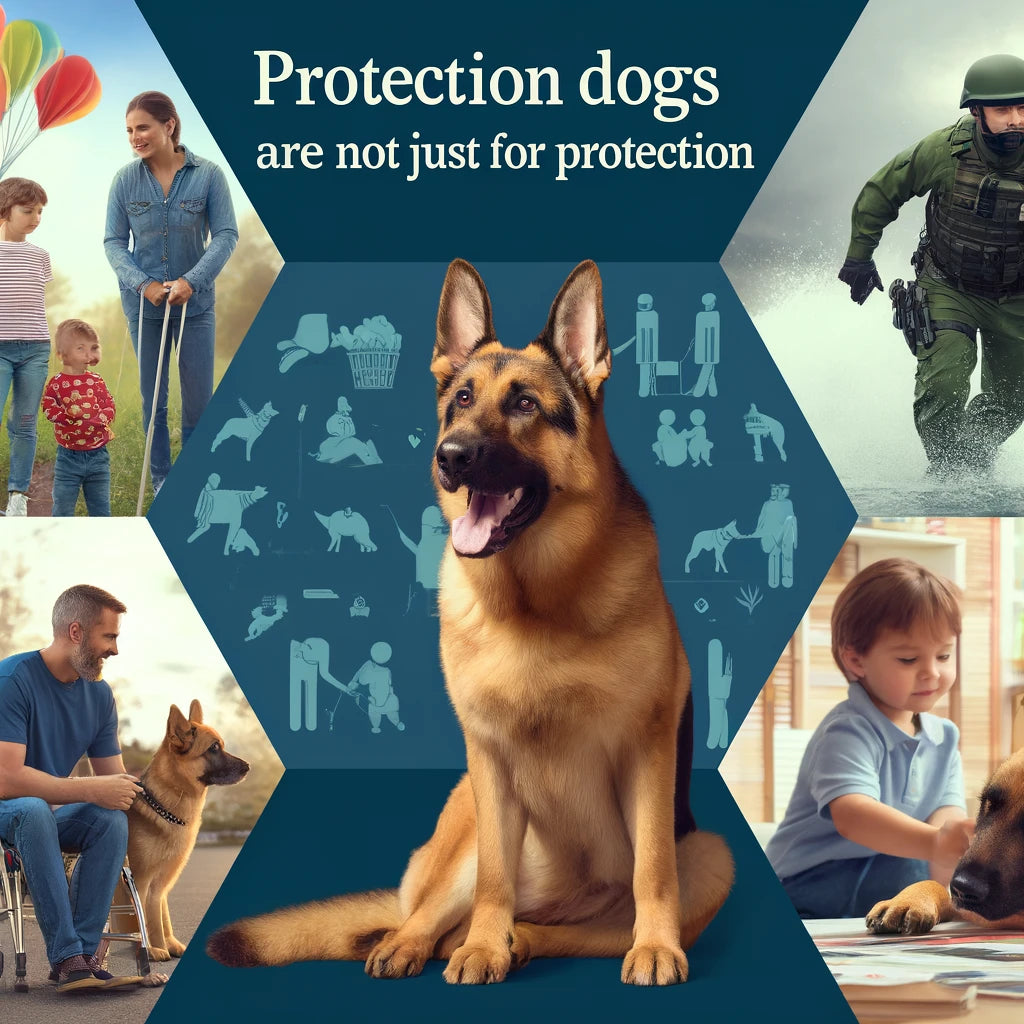 Protection Dogs are Not Just for Protection