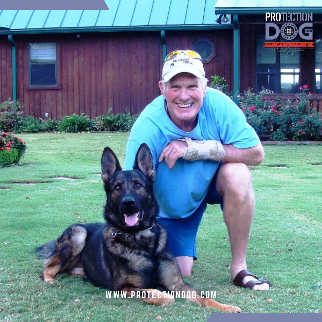 Terry Bradshaw caring protection dog
